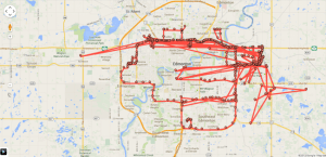 30-day-tracking-google-650x315